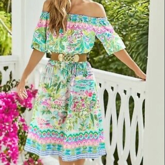 Lilly Pulitzer Dresses & Skirts - LILLY PULITZER CAMILLE Multi ISLAND HOPPING ENGINEERED DRESS - XS